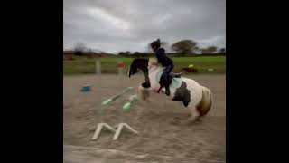 Candy flying the other day in our lesson 🖤🤍 candy equestrianjumping [upl. by Aletsirc]