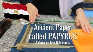 An Egyptian showing me how a PAPYRUS Ancient Paper is made Unbelievable plant [upl. by Earley888]