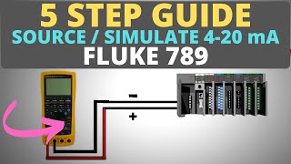 How To Use a Process Meter  5 Step Guide to Source  Simulate 420mA [upl. by Iona]