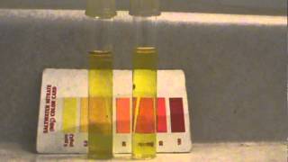 how to denitrate your aquarium FAST denitrate coil [upl. by Sivia]