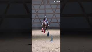 Ich war heute Reitunterricht Ich war heute Reitunterricht horseenthusiast horse [upl. by Suicul]