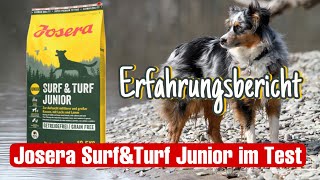 Hundefutter Test  Trockenfutter  Surf amp Turf JUNIOR [upl. by Aihsekal]