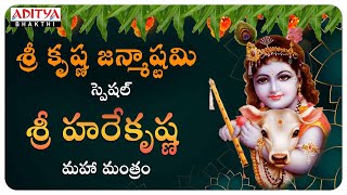 Sri Krishnashtami Special  Hare Krishna Mahamanthram Nitya Santhoshini  krishnabhajan [upl. by Willett]