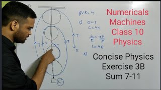 Numericals from Machines Class 10 Physics  ICSE  Physics  Exercise 3B  Pulleys [upl. by Elonore]