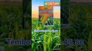 Mac Secretary farming maize Herbicide Tembotrione 344 SC [upl. by Trebla155]