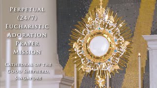 Introduction Message  Perpetual 247 Eucharistic Adoration Prayer Mission [upl. by Ecertak]