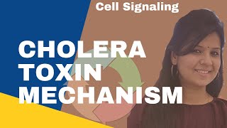 Cholera Toxin mechanism [upl. by Nalyac]