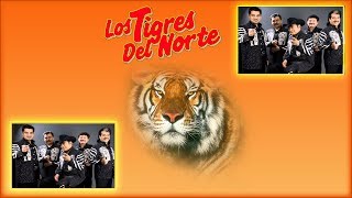 LOS TIGRES DEL NORTE Y SUS MEJORES CANCIONES NORTEÑAS DE TODOS LOS TIEMPOS [upl. by Anividul]