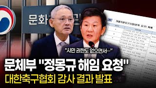 ‘파파괴’ 정몽규 회장의 KFA 문체부 중징계 요청에도…무급 임원에 28억원 깜깜이 지출 [upl. by Painter]