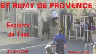 ST REMY DE PROVENCEEncierro de Taus25092018 [upl. by Oirevlis]