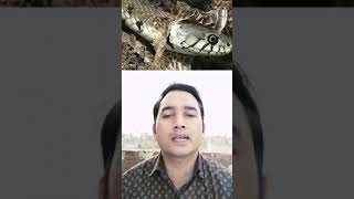 What is Slough What is sloughing  The dead skin of a snake  By Your Favourite Aditya Sir SSC [upl. by Neumark]