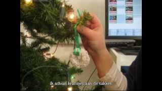 Wij versieren onze kerstboom [upl. by Aivan297]