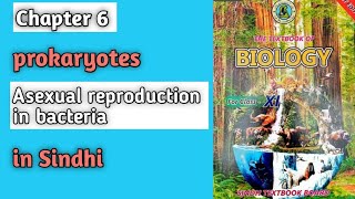 Asexual reproduction in bacteria chapter 6 prokaryotes class 11 biology Sindh board [upl. by Leoline]