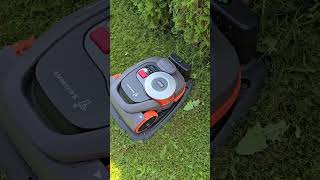 Epizodas 2  vejos paruošimas prieš perimetrą Segway Navimow H3000EVF [upl. by Sliwa781]