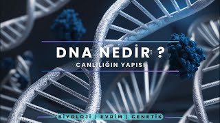 DNA Nedir Temel Bilgiler Genetik Mühendislik Mutasyonlar ve Evrim [upl. by Civ888]