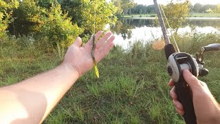 Fishing a New Pond For Trophy Bass [upl. by Ylil373]