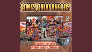 Sones Chiapanecos [upl. by Ilanos157]