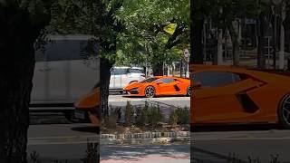 Lamborghini Revuelto com escape Secret Weapon [upl. by Ertnod]