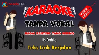 BAGAI RANTING YANG KERING  Iis Dahlia  KARAOKE TANPA VOKAL VERSI REMIX [upl. by Viquelia472]