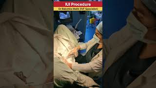 IUI Procedure  intrauterine insemination procedure  by Dr Rakshita Malik ivfcenter iuitreatment [upl. by Weyermann]