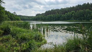 Meironų pažintinis takas [upl. by Frasco]