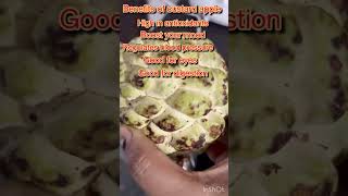 Benefits of custard apple liveyourbestlife liveyourfullestwithamita healthyfood [upl. by Brightman]