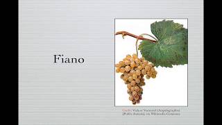 Winecast Fiano [upl. by Allianora318]