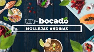 🧆MOLLEJAS ANDINAS [upl. by Intirb]