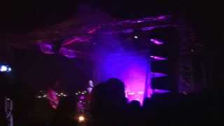 Sasa Kovacevic  Pisi propalo  Live  Ohrid 2013 [upl. by Assiled]