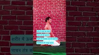 Vajrasana for Digestion Diabetes Control amp Inner Peace Easy Yoga for Beginners yogyatra [upl. by Kare]