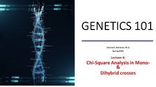 Analysis of multiple genes Dihybrid Cross ChiSquare [upl. by Tuck]