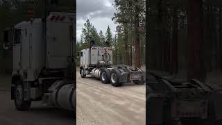 Bobtailing through the woods freightliner cabover bobtail cat bc canada trucking [upl. by Sheffield]