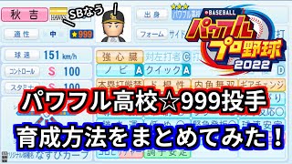 【パワプロ2022】パワフル高校☆999投手育成方法まとめ。立ち回り方を解説してみました。【サクセス：パワフル高校】 [upl. by Granville300]