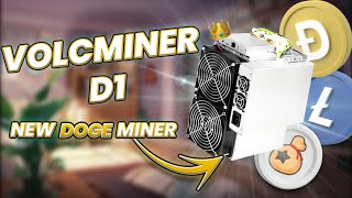 VolcMiner D1  New Most Profitable Dogecoin Miner [upl. by Naashom546]