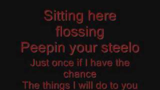 Ginuwine Pony Lyrics on screen [upl. by True]