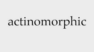 How to Pronounce actinomorphic [upl. by Ihteerp442]