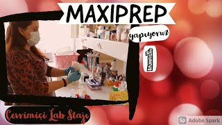 MAXIPREP  PLASMID ISOLATION  ZYMOPURE  ONLINE LAB TRAINING  ENGLISH SUBS [upl. by Tongue131]