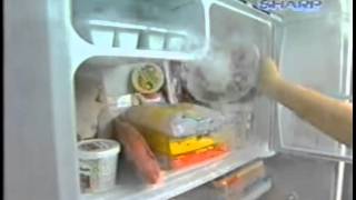 Iklan Sharp XTra Big Freezer 2001  Indosiar [upl. by Esorrebma]