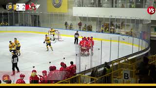 Highlights HCMV Varese  Alleghe 4 3 [upl. by Enaed]