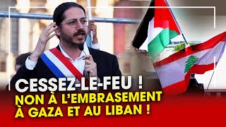 Liban Gaza  cessezlefeu   Aurélien Le Coq député LFI [upl. by Allemrac]