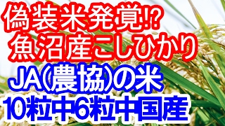 驚愕の結果「JAの米」に産地偽装の疑い…10粒中6粒中国産！？ [upl. by Springer]