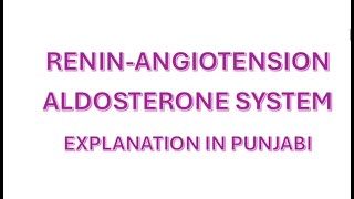 RENINANGIOTENSIN ALDOSTERONE SYSTEM NCLEX rn rpn nurse [upl. by Armillda689]