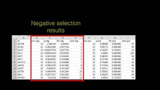 MAGeCK Tutorial 2 Comparison between samples [upl. by Elay]