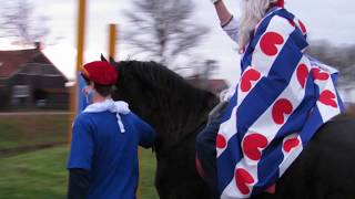 Zeilschool t Stekelbaarsje  Sinterklaas 2016 [upl. by Atnek]