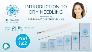 Introduction to Dry Needling  Part 1 amp 2 [upl. by Worthington13]