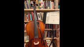 Rachmaninoff Cello Sonata Movements 3 and 4 [upl. by Ycak]