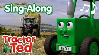 Amazing Maize Song 🎶  Tractor Ted SingAlong  Tractor Ted Official Channel [upl. by Pandolfi]