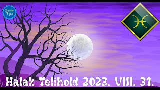 ♓🌕 Halak Telihold  2023 VIII 31 Fókuszáljunk a jelen pillanatra Minden úgy jó ahogy van [upl. by Armstrong]