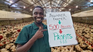 How Much Profit can a First time Farmer make from 500 Chickens [upl. by Kciredec]