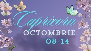 CAPRICORN ♑ Cineva vrea claritate si acțiune hotărâtă pentru viitor 🙏 [upl. by Tootsie]